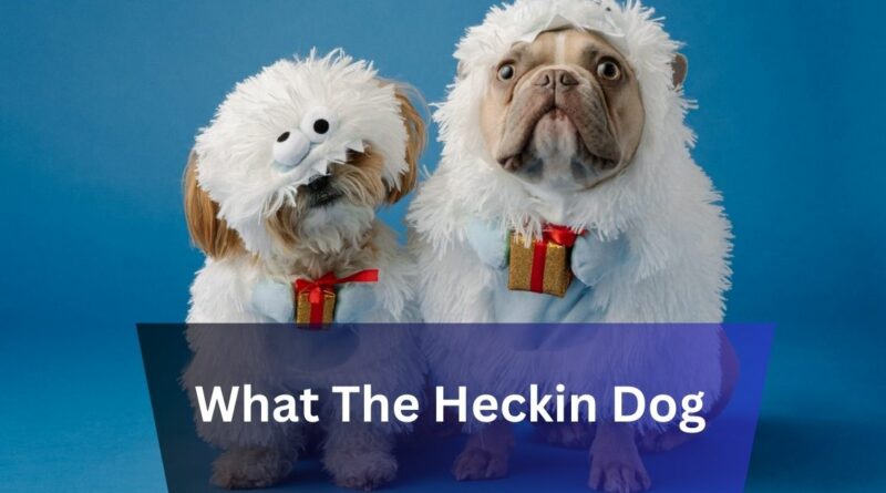 What The Heckin Dog – The Joy With Our Canine Companions!