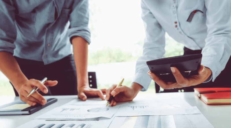 Efficiency Unleashed: The Role of Business Process Consultants