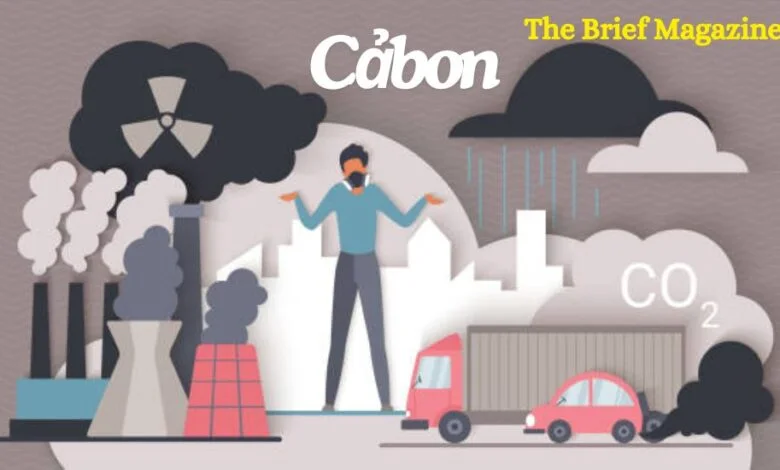 What Are Some Things Made Of Cảbon? – Another Word For "Cảbon" In English?