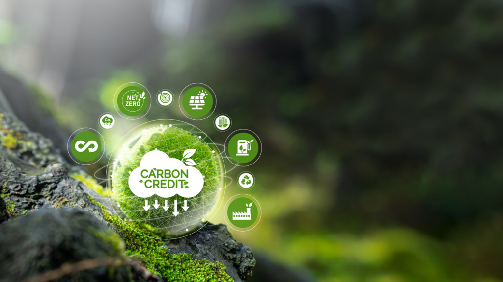 Why Is It Important For Businesses To Be Careful With Cảbon?