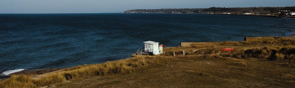 Philanthropy and Environmental Efforts: